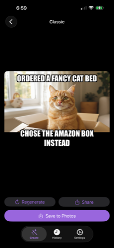 Classic meme: cat in Amazon box